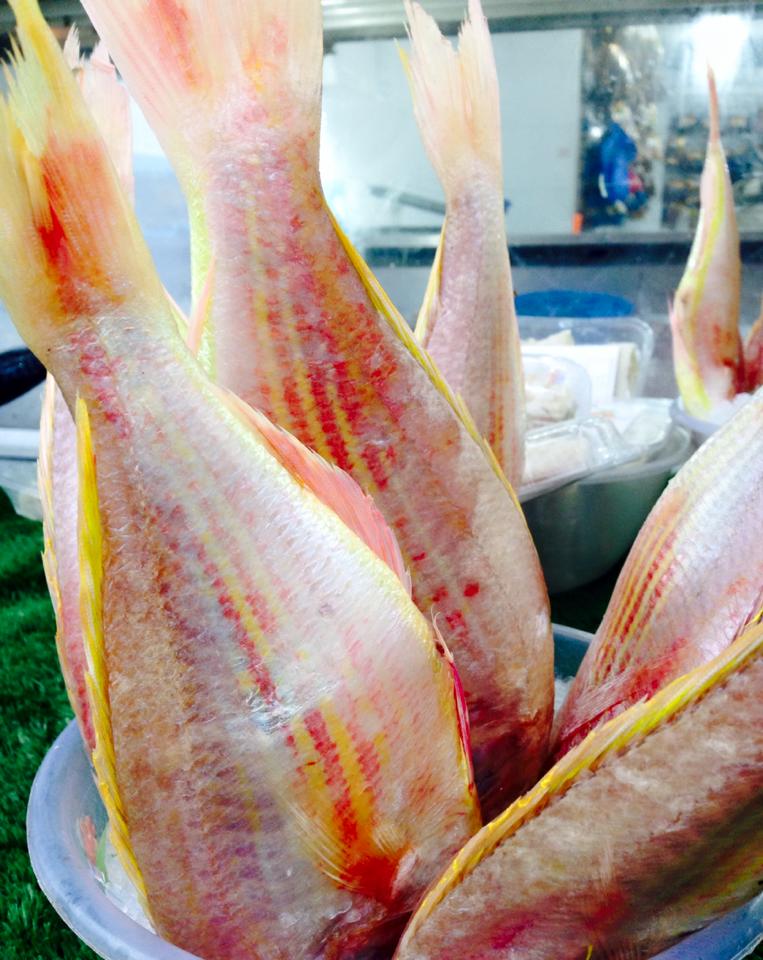 Fish for sale at Deptford Seafood Center. Photograph by author (September 2015).